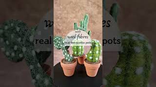 I made another set of needle felted cacti cacti cactiandsucculents indoorgardening [upl. by Ilowell]