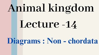 Diagrams  Non Chordates Animal kingdom Lecture  14 [upl. by Nyliahs832]