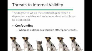 External and Internal Validity [upl. by Ralaigh]