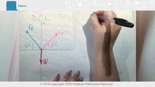 Ejercicios Resueltos Primera Condición de Equilibrio [upl. by Dyl]