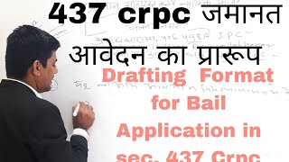 जमानत का प्रार्थना पत्र कैसे लिखे आवेदन की ड्राफ्टिंग how to right Bail Application law 437 crpc [upl. by Mateusz]