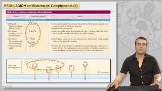 122 EL SISTEMA DE COMPLEMENTO Y SUS RECEPTORES II [upl. by Bussey763]