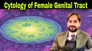 Cytology of Female Genital Tract  MLT Hub with kamran [upl. by Tavi66]