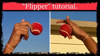 “Flipper” Tutorial Shorts [upl. by Xel]