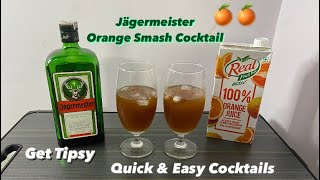 Jägermeister Orange Smash Cocktail  Get Tipsy 🍊🥃 [upl. by Uta309]