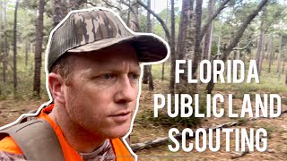 SCOUTING WMA FOR DEER SEASON 🦌deerhunting publiclandhunting deerseason hunting floridahunting [upl. by Fagaly436]