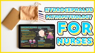 Hydrocephalus Pathophysiology  Everything You Need to Know [upl. by Hendrik]