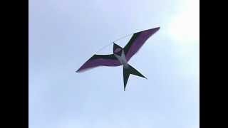 Bird Kites at Dieppe  2004 kite festival [upl. by Gavrah872]