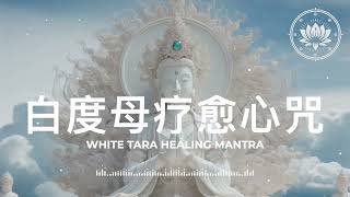 白度母疗愈心咒 White Tara Soul Healing Mantra 【Therapy Music】 [upl. by Ailuy535]