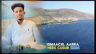 Ismaaciil Aarka Hees cusub Best Song 2024 4k [upl. by Namlak]