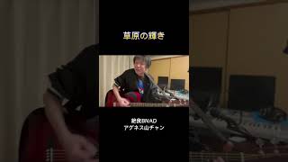 草原の輝きアグネスチャン Cover by 絶食BAND カテーテラー山ちゃん 懐メロ ギター弾き語り エンターテイメント shorts [upl. by Sualocin468]