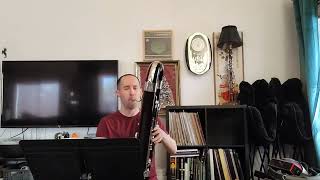 Contrabassoon Etude from Lesson 8 in Seltmann Vol 6 by Arnold Matz [upl. by Berard122]