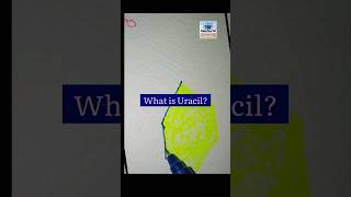 what is Uracil shorts rna genetics microbiologyviral [upl. by Sorcha]