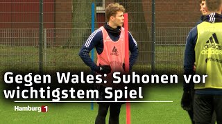 Gegen Wales Suhonen vor wichtigstem Spiel [upl. by Iyre]