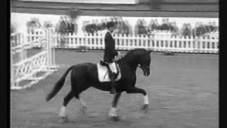 Equine Dressage Music Video [upl. by Singhal]