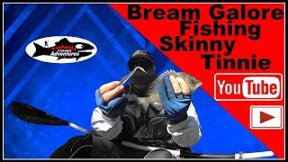 Bream galore fishing skinny water on Tingalpa Creek [upl. by Greenwald]