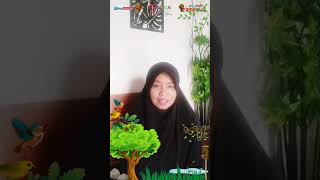 video testimoni bebras guru paud [upl. by Alyel878]