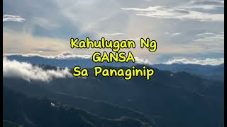 KAHULUGAN NG GANSA SA PANAGINIP [upl. by Nhguaval]