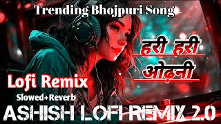 hari hari odhani  pawan singh  trending bhojpuri song  lofi remix  odhani bhojpuri song 2024 [upl. by Lleral]