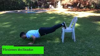 Flexiones declinadas [upl. by Laud468]