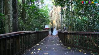 Steadicam Wedding Photo Shoot Cairns Queensland [upl. by Haley]