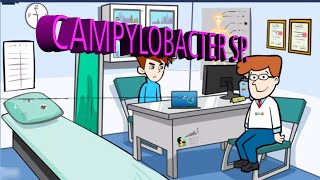 Microbiología Campylobacter jejuni [upl. by Shaefer361]