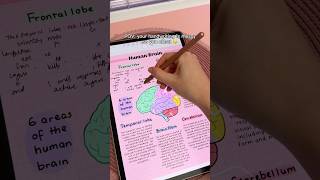 my messy handwriting secret 🤫💕 Samsung galaxy tab S9  penly android app  digital note taking tips [upl. by Slotnick]