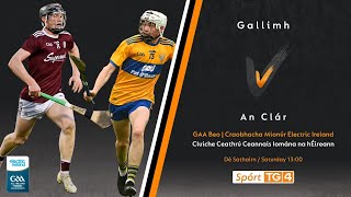 GAA Beo  Gallimh v An Clár Galway v Clare U17 [upl. by Vivle436]