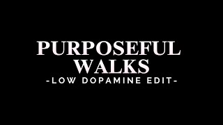 PURPOSEFUL WALKS  LOW DOPAMINE EDIT [upl. by Araem]