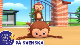 Fem söta apor  Little Baby Bum Svenska  Barnvisor [upl. by Redmer457]