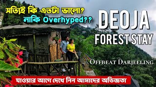 Deoja Forest Stay  Offbeat Destination near Darjeeling  Offbeat North Bengal [upl. by Ahsinav]