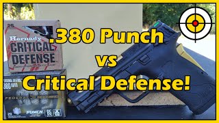 Can 380 Do The Job For Self Defense Federal Punch vs Hornady Critical Defense Ballistic Gel Test [upl. by Elacim]