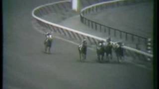 SECRETARIAT  1972 Sanford Stakes with stretch call amp analysis [upl. by Ardnoed989]