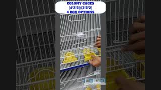 COLONY CAGES [upl. by Friend]