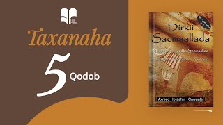 5 qodob oo ku saabsan Buugga Dirkii Sacmaallada  Taxanaha 5 Qodob [upl. by Lennahs]