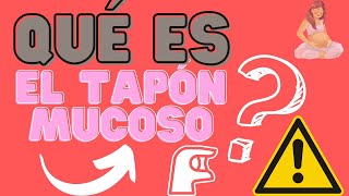 QUÉ es el TAPÓN MUCOSO  Embarazo [upl. by Renick]