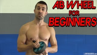 AB Wheel Exercises for Beginners [upl. by Perrine744]