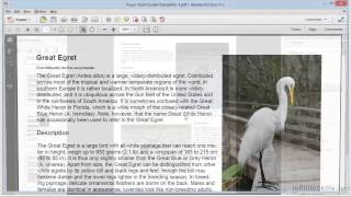 Adobe Acrobat XI Tutorial  Extracting And Replacing Pages [upl. by Janerich]