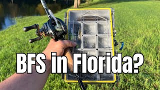 BFS in Florida Does it work [upl. by Secnirp]