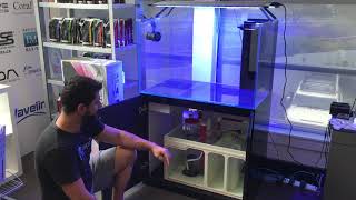 Aquariums Australia  Neptunian Cube Product Launch [upl. by Nwahsyt]