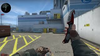 CSGO GUT KNIFE AUTOTRONIC FACTORY NEW  BROKEN FANG GLOVES NEEDLE POINT FACTORY NEW [upl. by Aeneg]