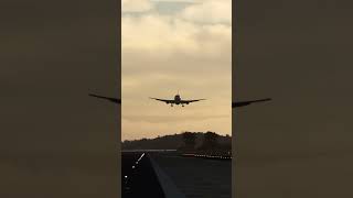 Brasilian AirForce 767 Landing at Galeao Airport l MSFS [upl. by Pasquale]