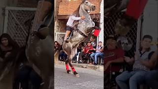 Caballo Reparando Acaba Mal🤔😱🇲🇽💯 caballos shorts caballosbailadores horse jaripeo rodeo [upl. by Yanej]