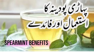 Spearmint tea benefits  Pahari pudina k faidy  tips amp tricks with sam [upl. by Barbie]