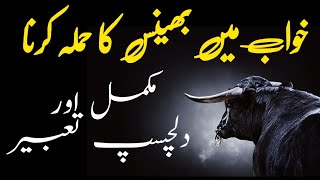 khwab mein bhains ka hamla karna  Khwab mein bhains ka piche lagna  Seeing buffalo in dream [upl. by Yrrat370]