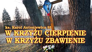 W krzyżu cierpienie w krzyżu zbawienie w krzyżu Miłości nauka  Gregorianus [upl. by Kiraa]