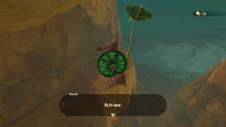 Korok seeds  Spectacle Rock  Wastland Tower 12  Zelda BOTW [upl. by Kale]