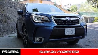 Subaru Forester a prueba  CarManía [upl. by Quintin]