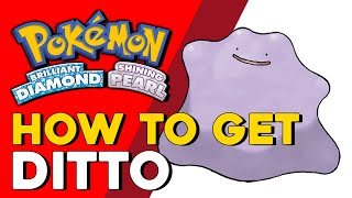 Pokemon Brilliant Diamond amp Shining Pearl How To Get Ditto Pokemon BDSP [upl. by Eleen]