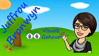 Persepsie Visuele Geheue [upl. by Aciemaj381]